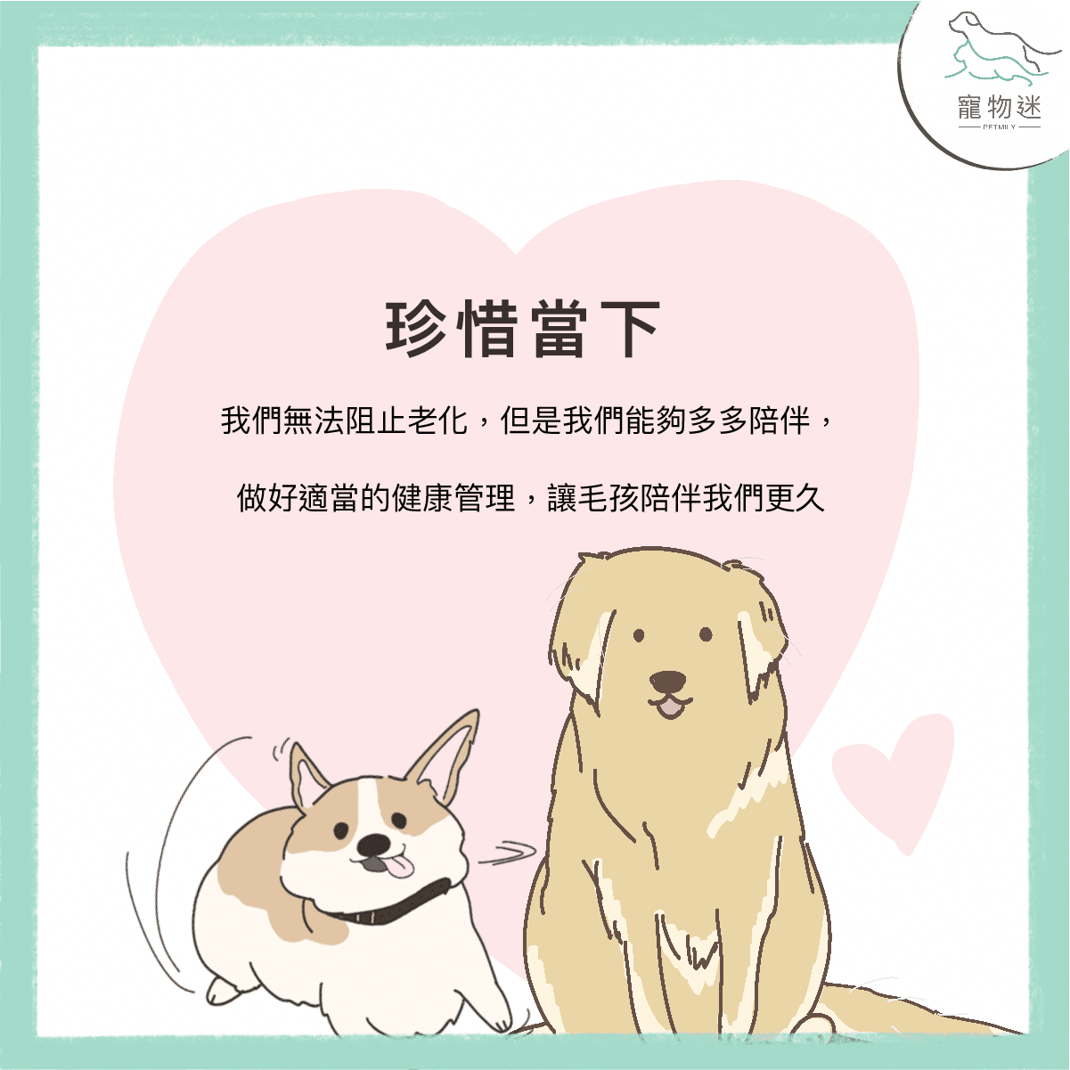 老狗失智症的6大指標－在牠們還記得你／妳的時候珍惜當下！