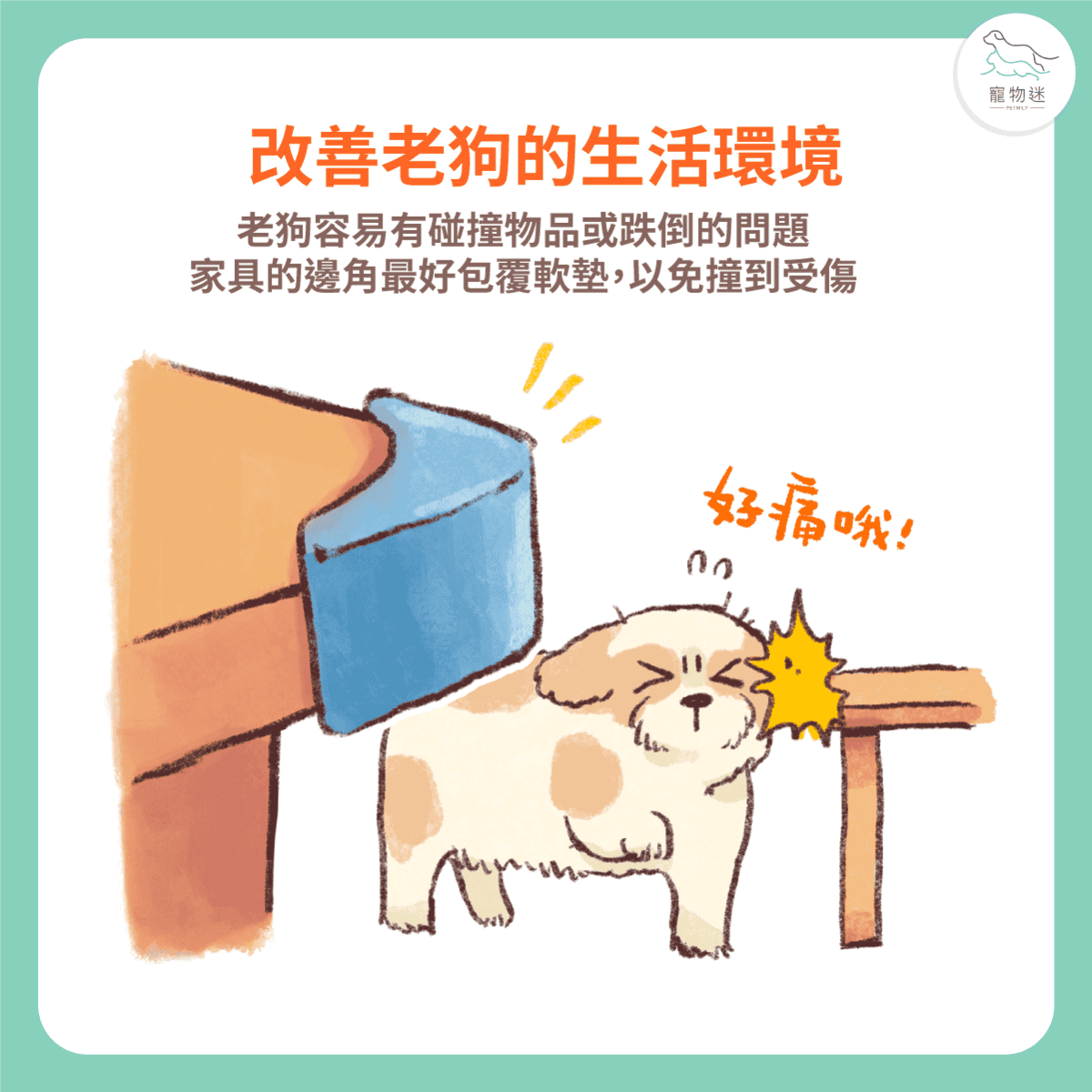 老狗照顧8大居家環境改善建議，打造安心舒適的熟齡毛孩生活！