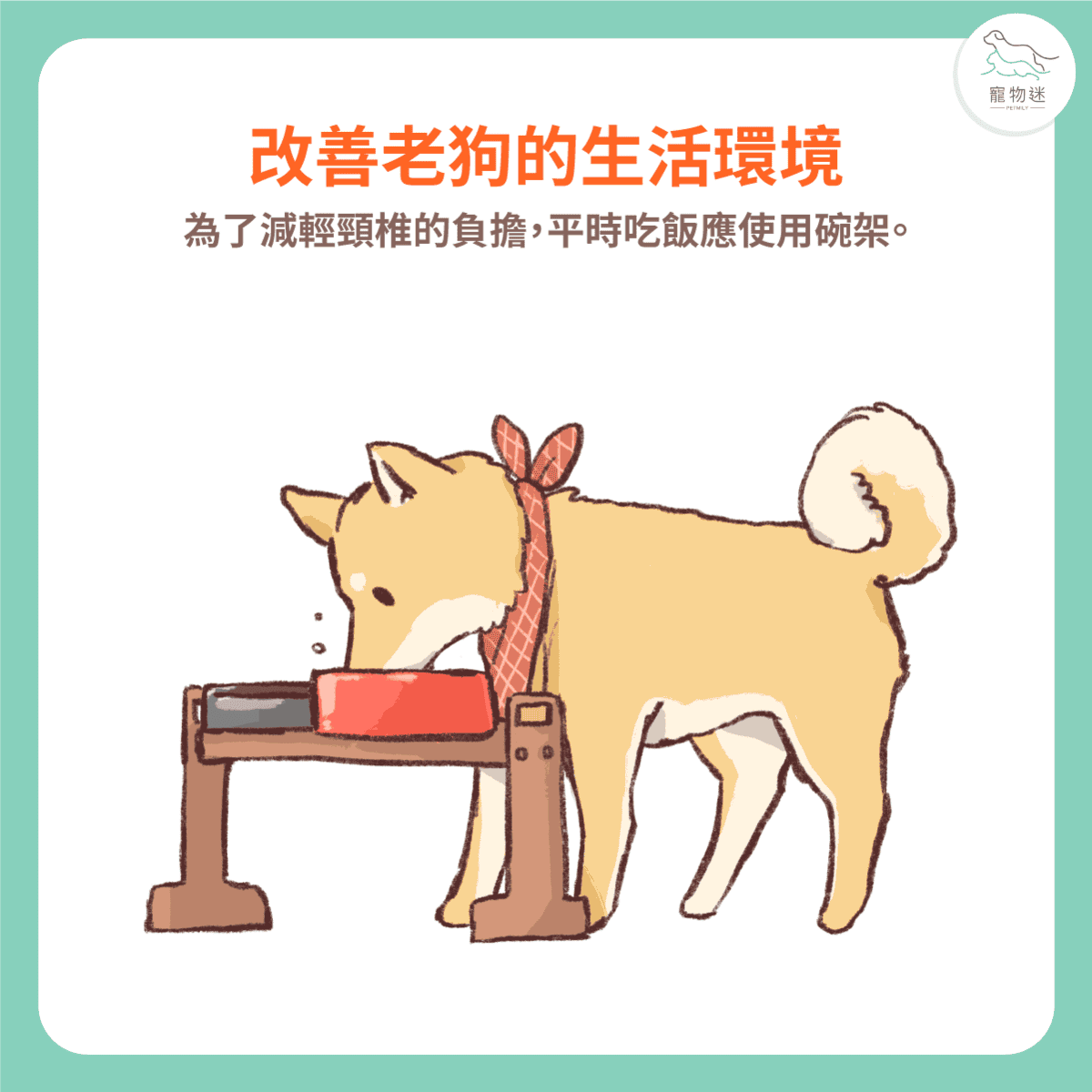 老狗照顧8大居家環境改善建議，打造安心舒適的熟齡毛孩生活！