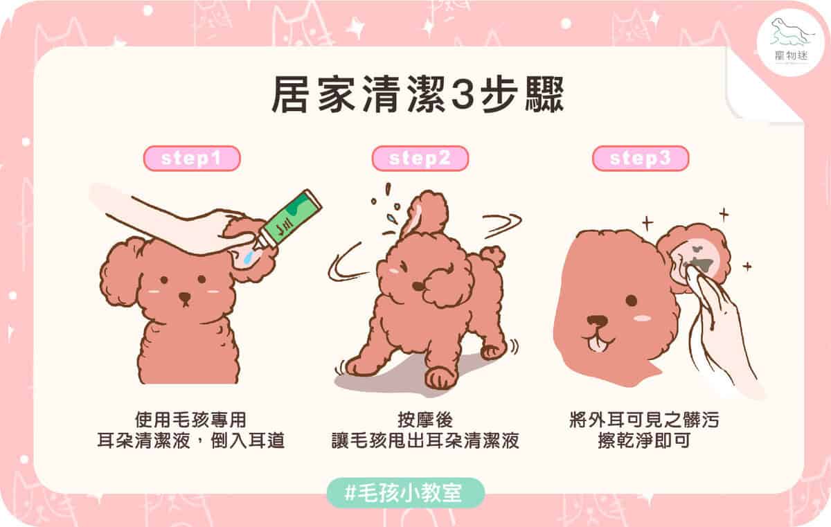 貓狗耳朵常見問題怎麼辦?3大耳炎原因+居家護理3步驟一次看! 8 貓狗耳朵常見問題怎麼辦?3大耳炎原因+居家護理3步驟一次看!