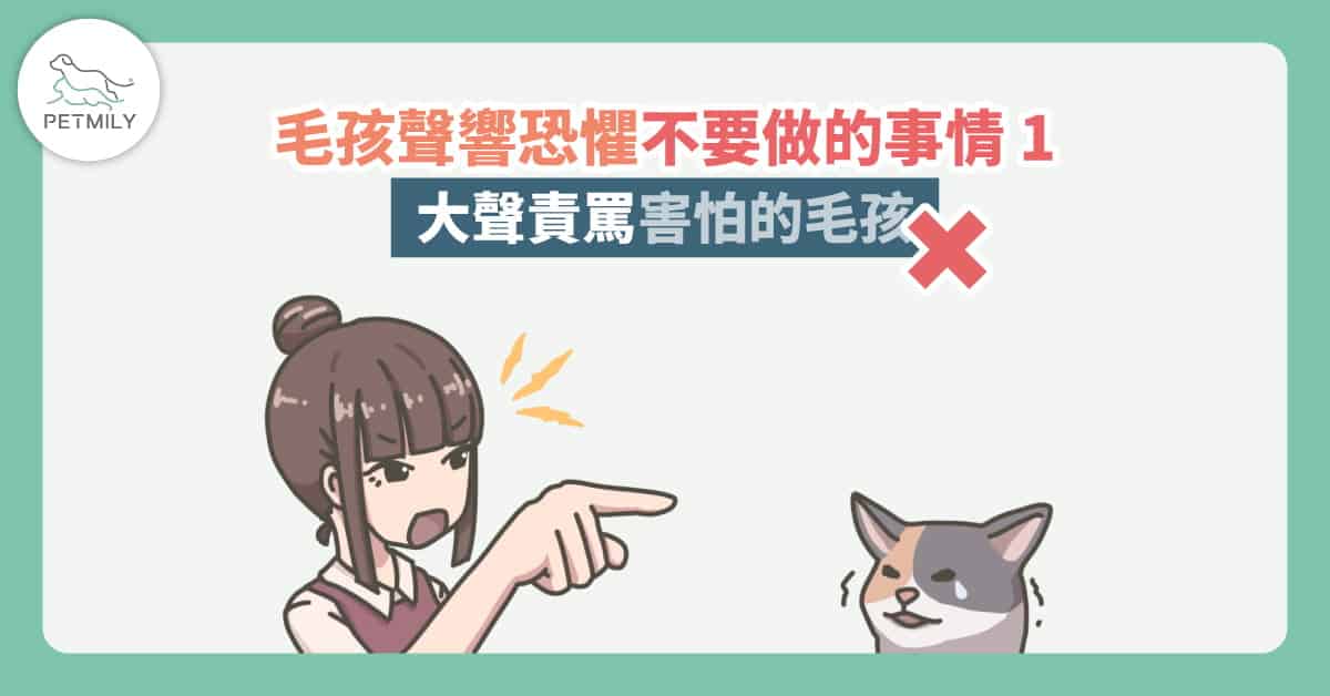 毛孩害怕煙火、鞭炮、下雨打雷怎麼辦？3大錯誤不要犯～讓牠們跟聲響恐懼說再見！