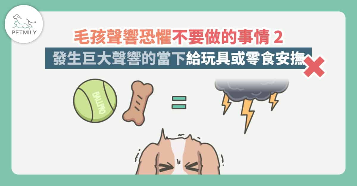 毛孩害怕煙火、鞭炮、下雨打雷怎麼辦？3大錯誤不要犯～讓牠們跟聲響恐懼說再見！