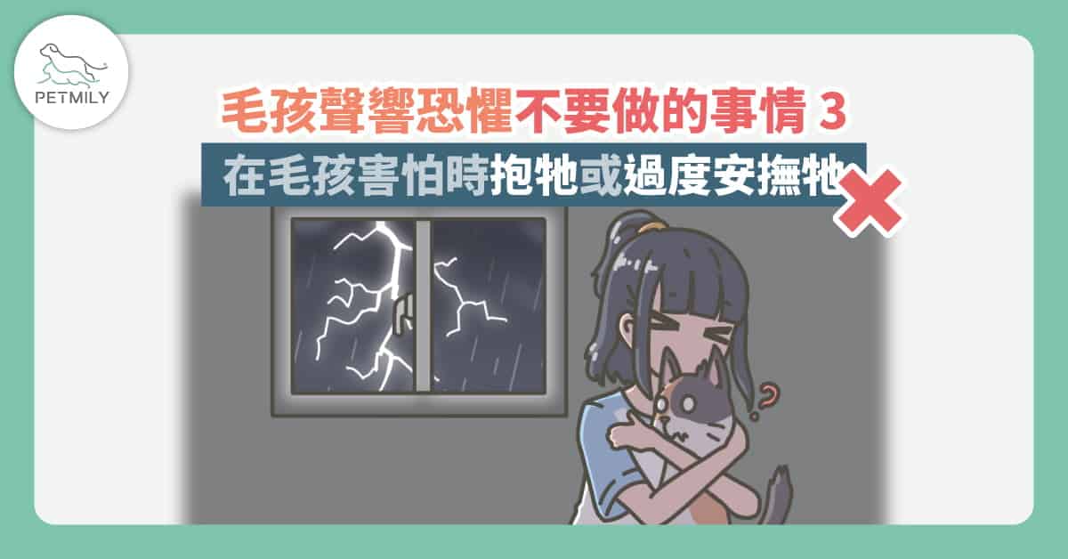 毛孩害怕煙火、鞭炮、下雨打雷怎麼辦？3大錯誤不要犯～讓牠們跟聲響恐懼說再見！