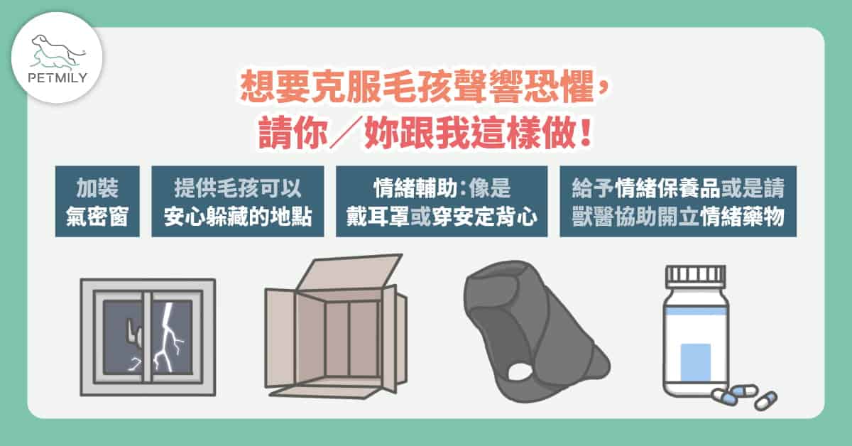 毛孩害怕煙火、鞭炮、下雨打雷怎麼辦？3大錯誤不要犯～讓牠們跟聲響恐懼說再見！