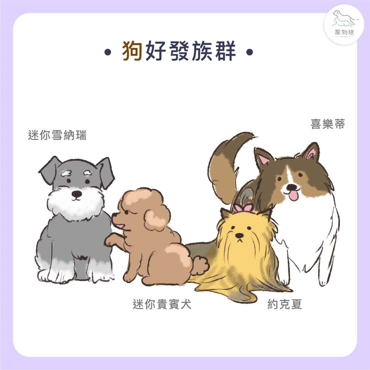 貓狗胰臟炎懶人包｜4大症狀＋治療方法，飼主一定要懂！