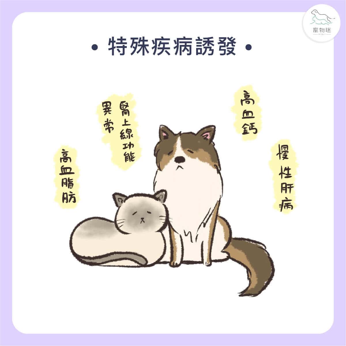 貓狗胰臟炎懶人包｜4大症狀＋治療方法，飼主一定要懂！