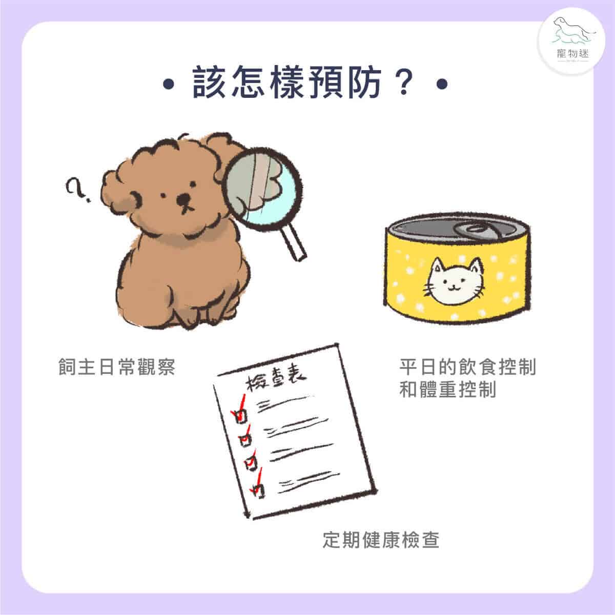 貓狗胰臟炎懶人包｜4大症狀＋治療方法，飼主一定要懂！