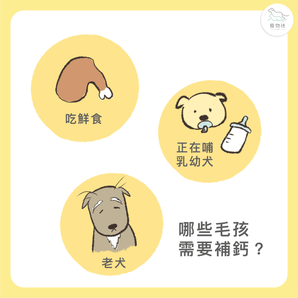 狗狗關節不好要補鈣?4件事主人一定要知道! 1 狗狗關節不好要補鈣?4件事主人一定要知道!