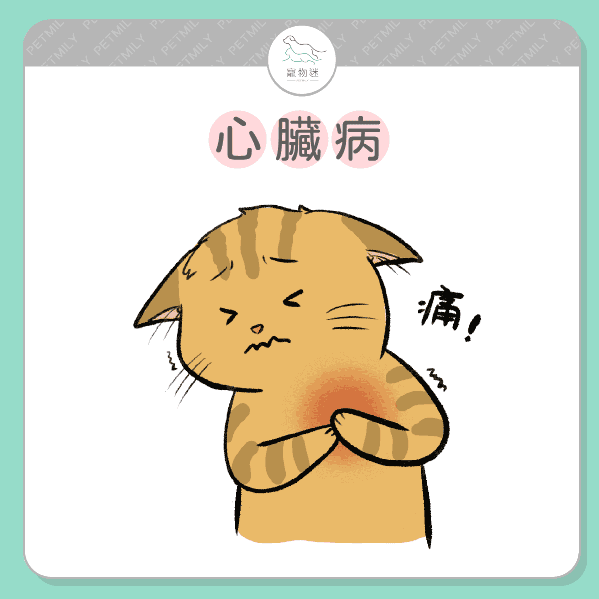請提早預防這７大老貓疾病！
