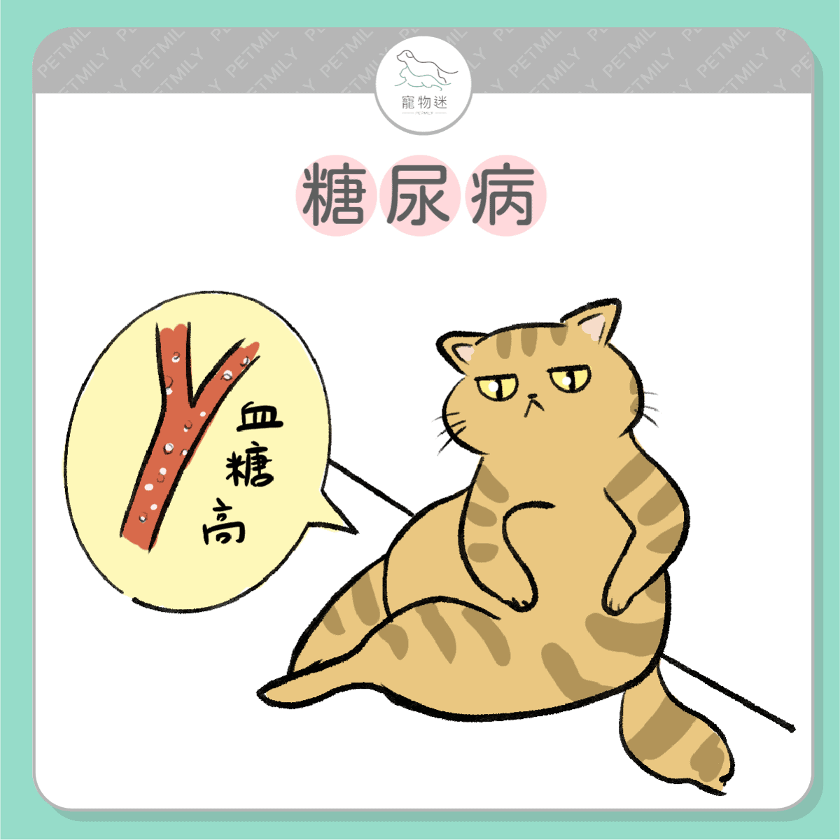 請提早預防這７大老貓疾病！
