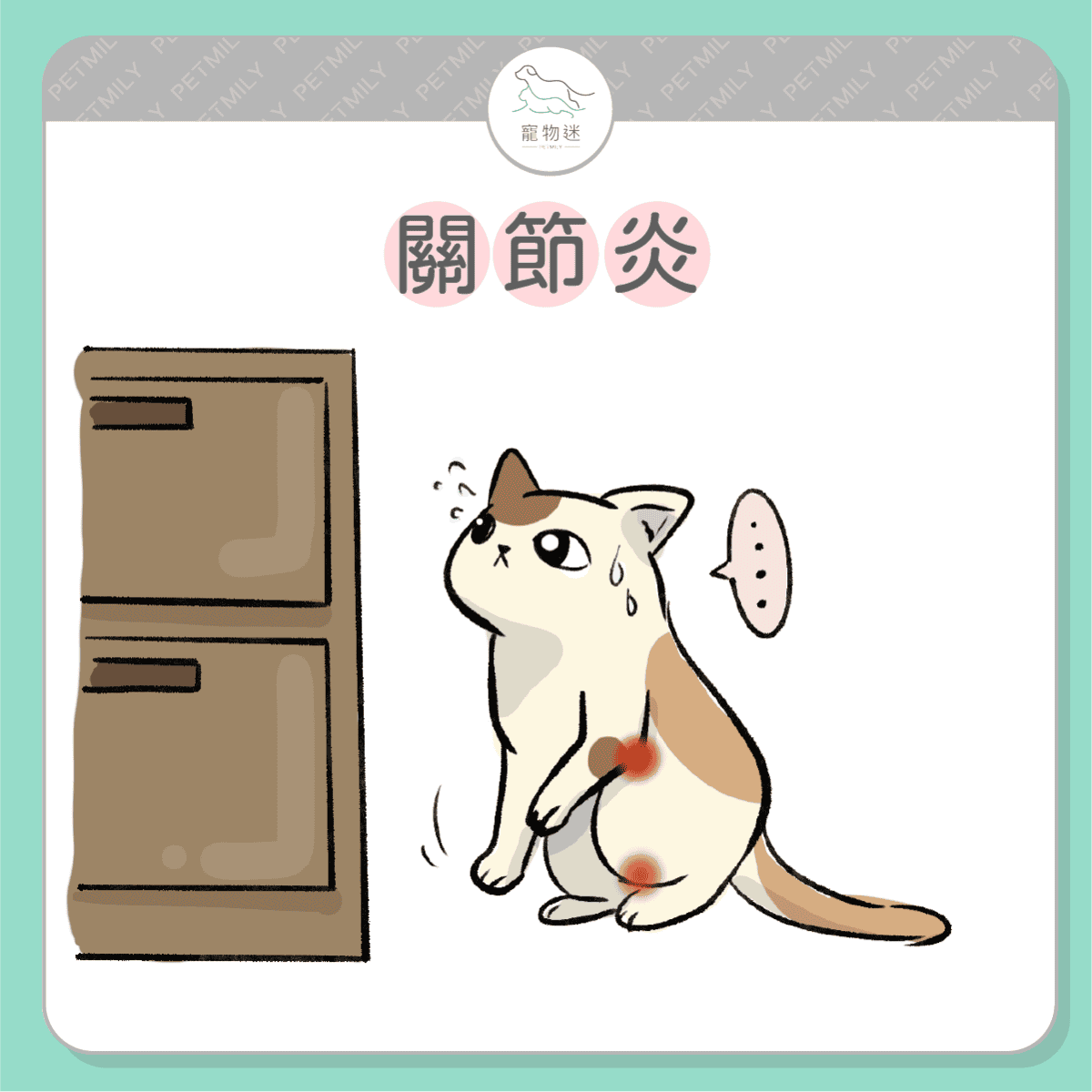 請提早預防這７大老貓疾病！
