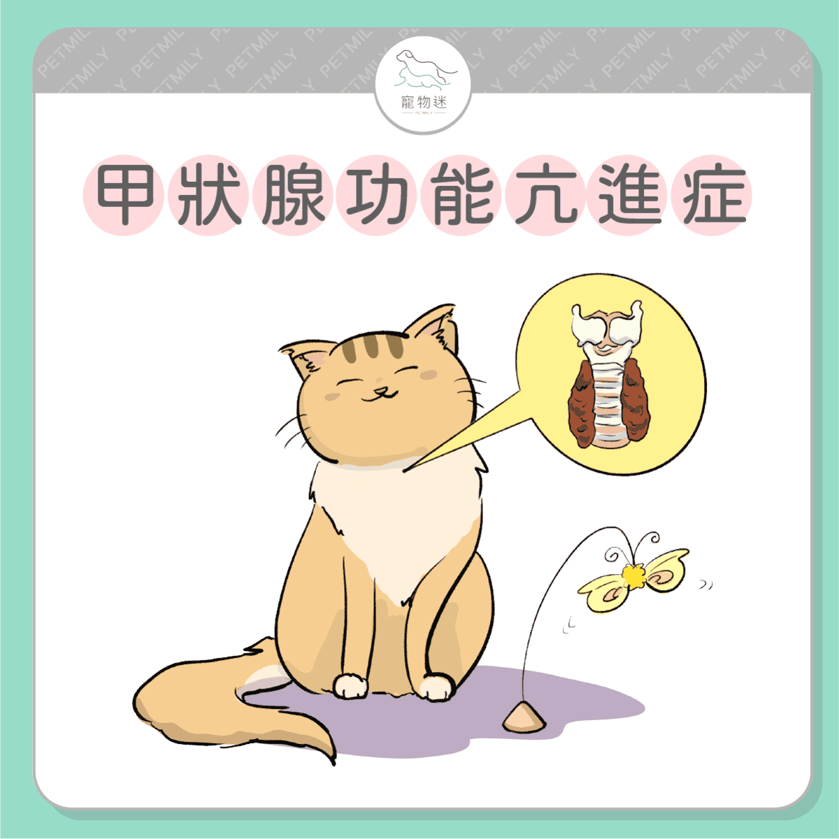 請提早預防這７大老貓疾病！