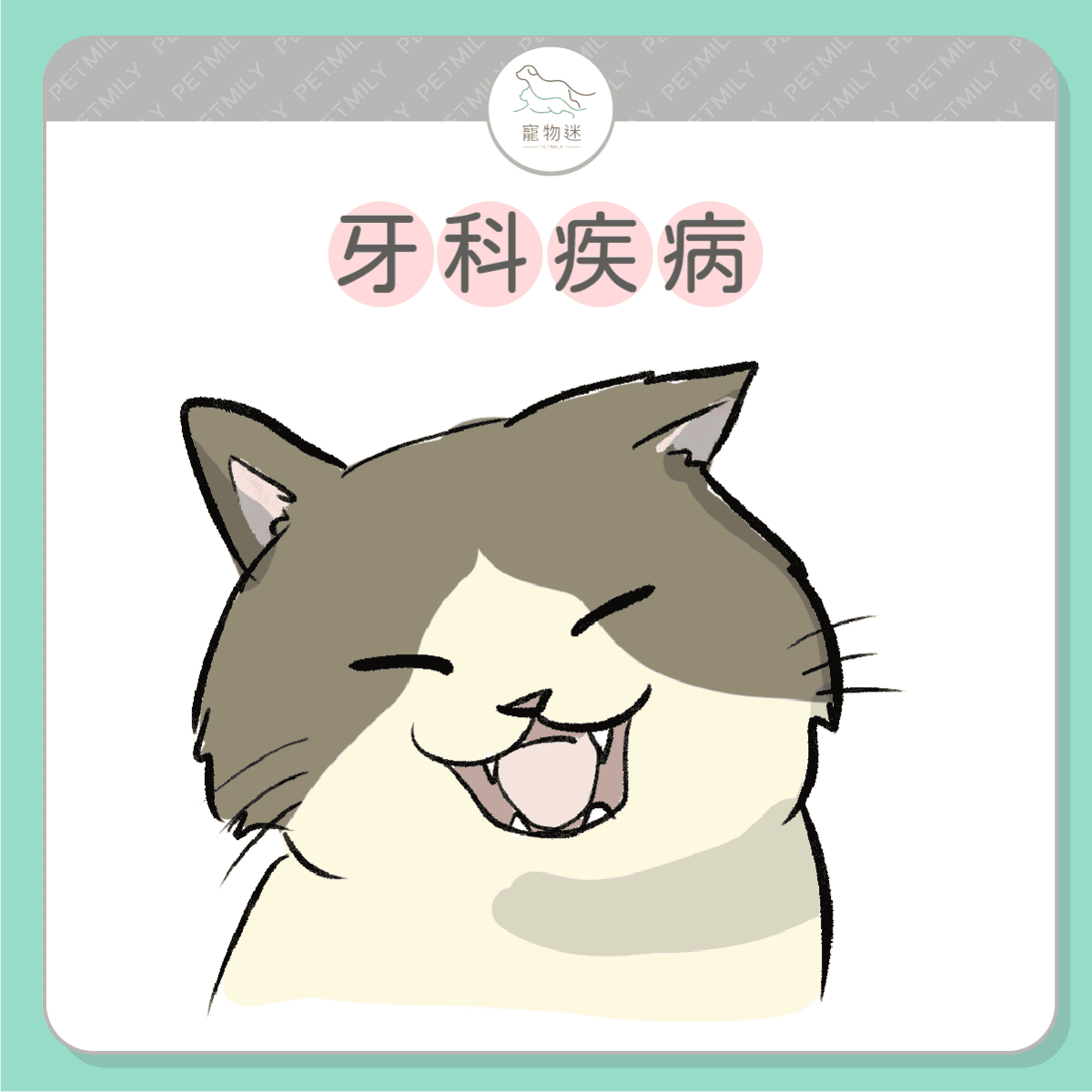 請提早預防這７大老貓疾病！