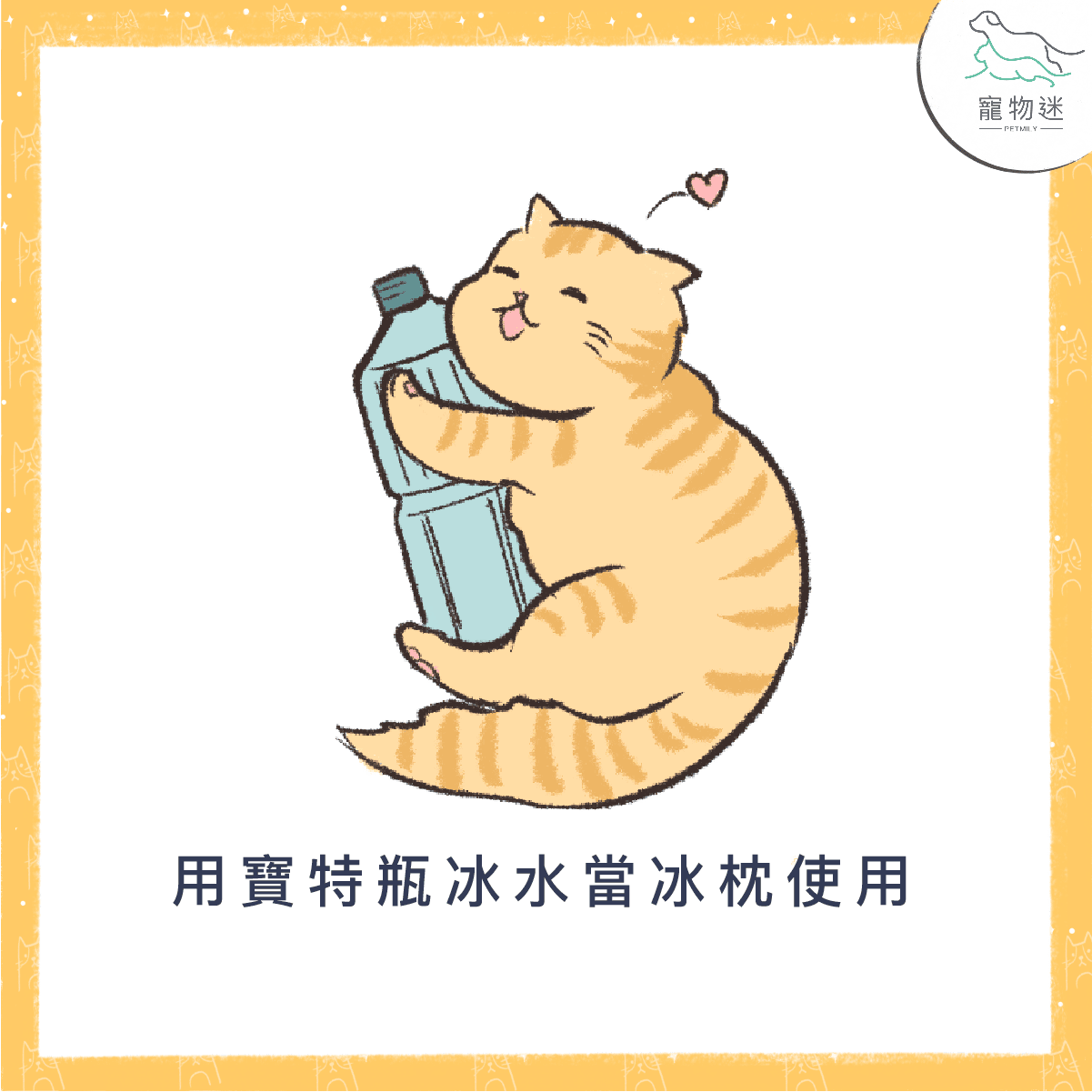 怕貓貓中暑 ，快用這5招讓牠保持涼快！