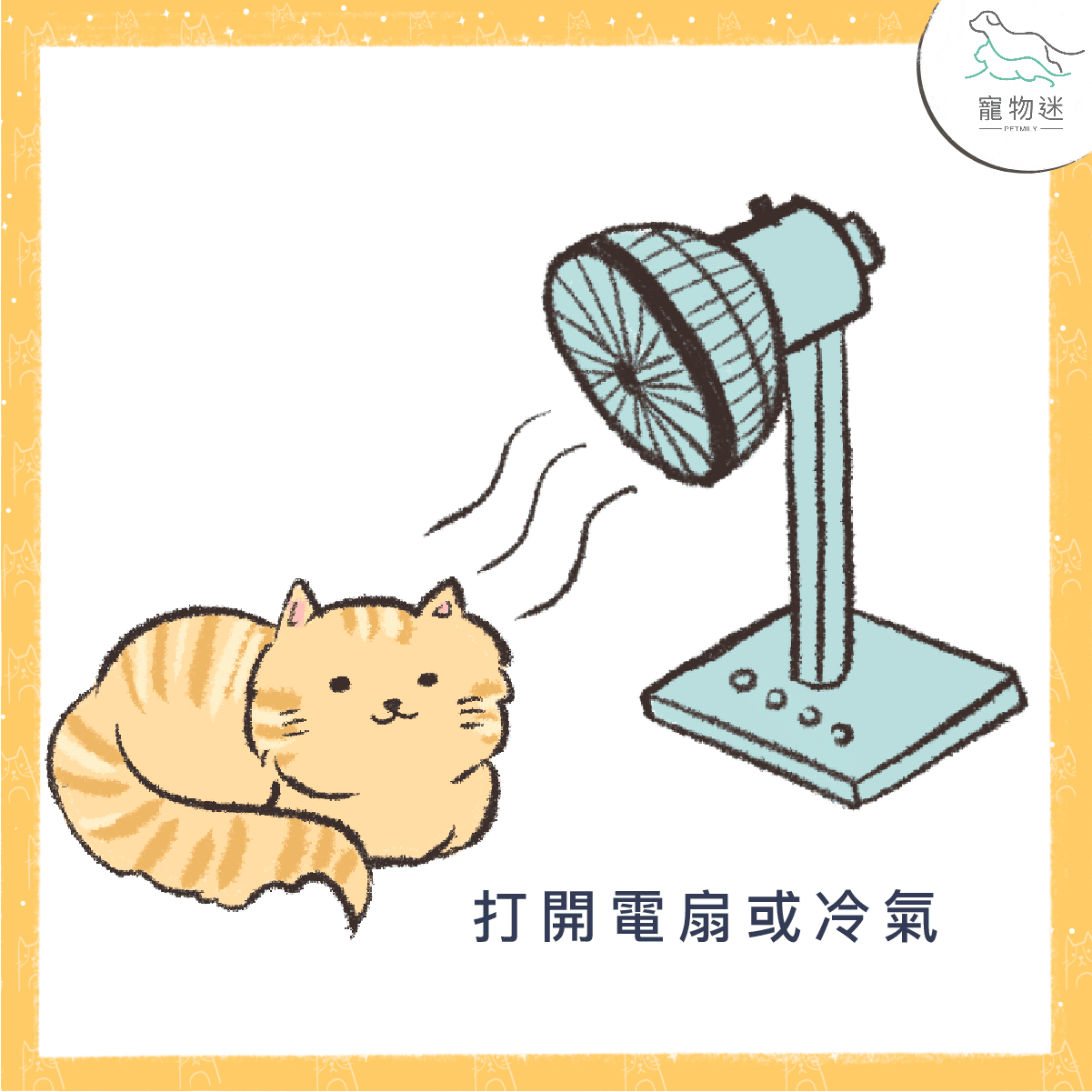 怕貓貓中暑 ，快用這5招讓牠保持涼快！