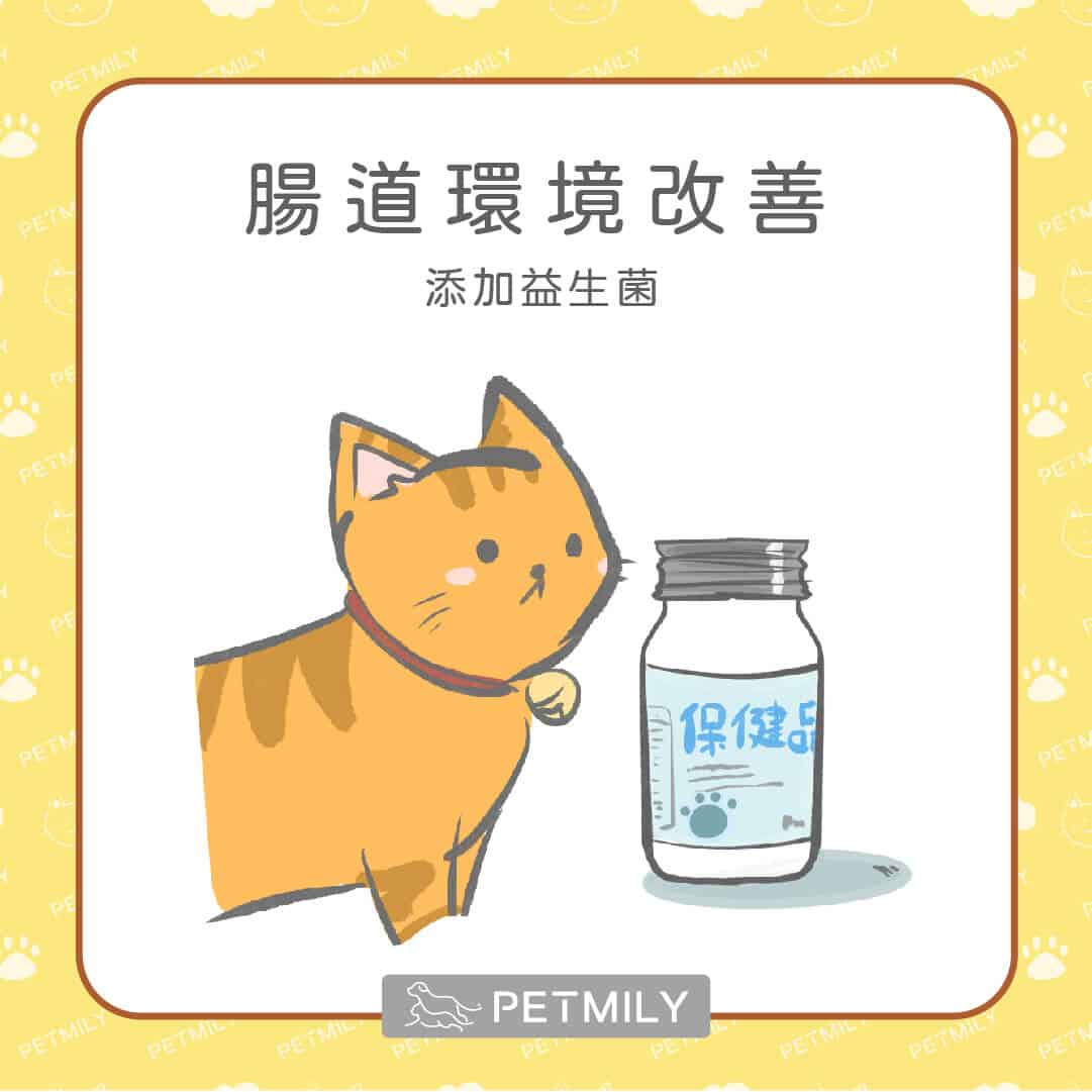 貓主子長期上吐下瀉嗎？快來了解貓咪慢性腸道炎症（IBD）7大症狀與5大照護方法！