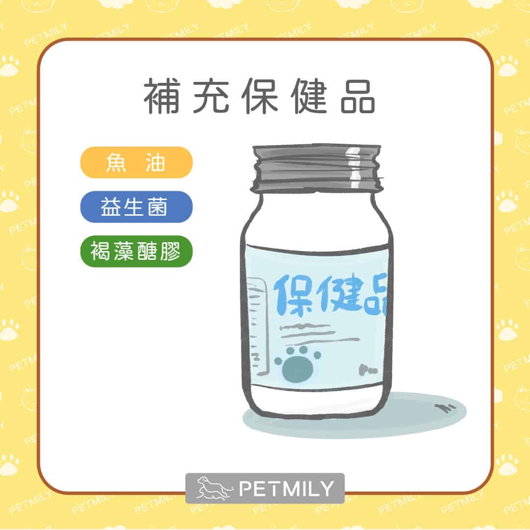 貓主子長期上吐下瀉嗎？快來了解貓咪慢性腸道炎症（IBD）7大症狀與5大照護方法！