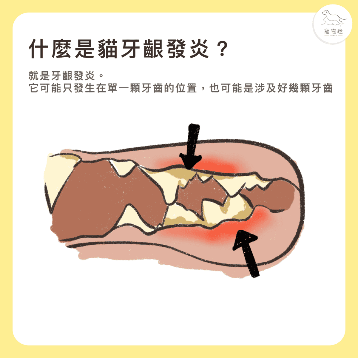 貓咪牙齦炎6大症狀＋5招日常預防，遠離口臭與不適！