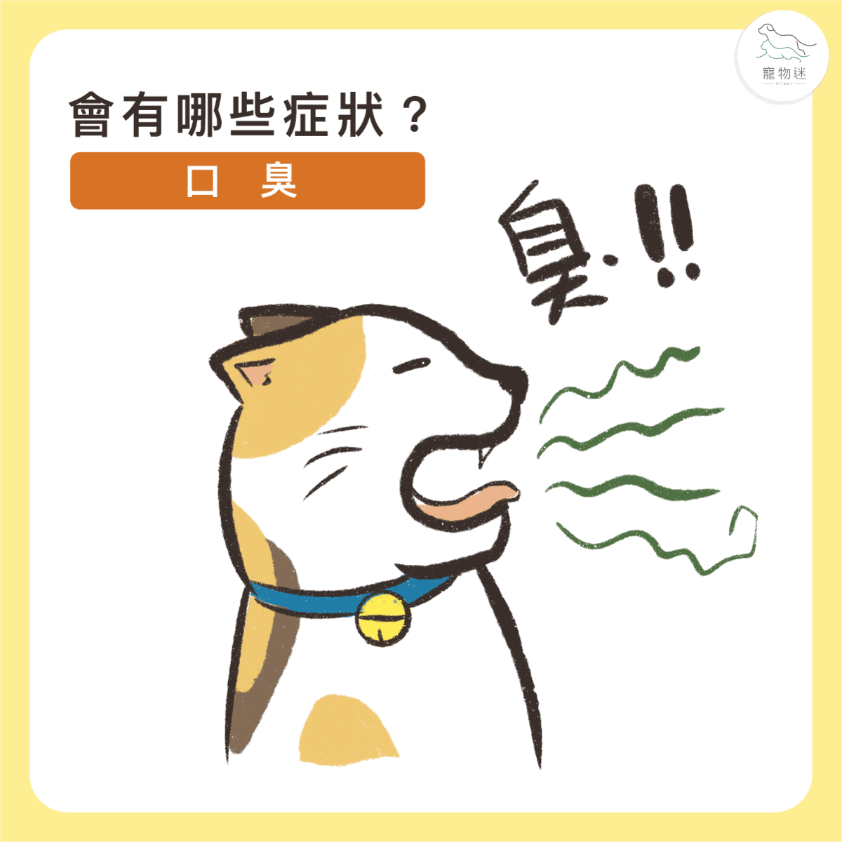 貓咪牙齦炎6大症狀＋5招日常預防，遠離口臭與不適！