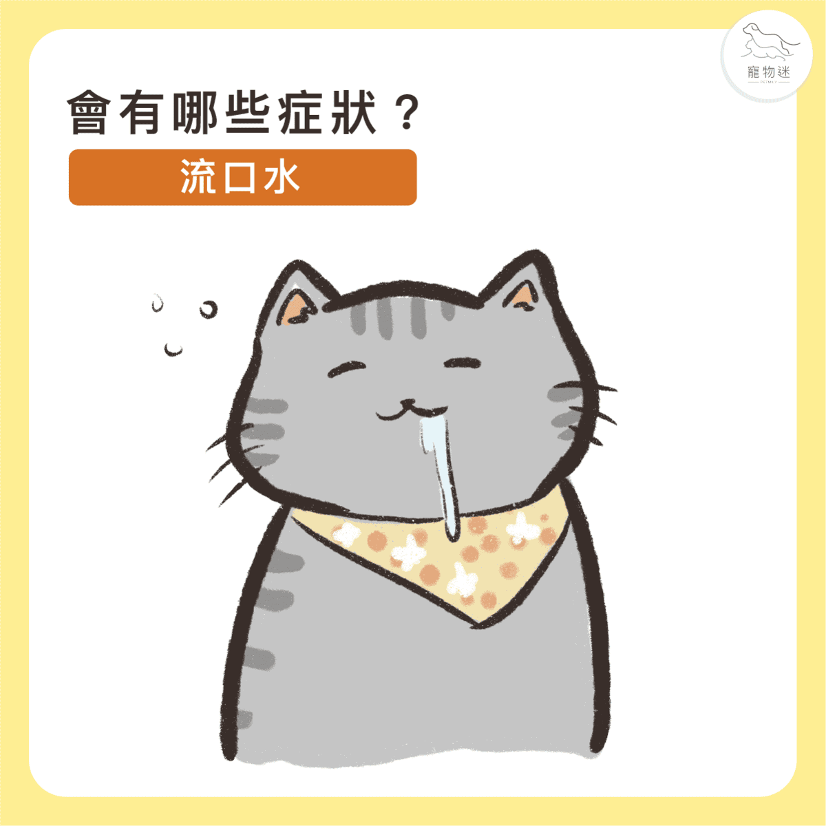 貓咪牙齦炎6大症狀＋5招日常預防，遠離口臭與不適！