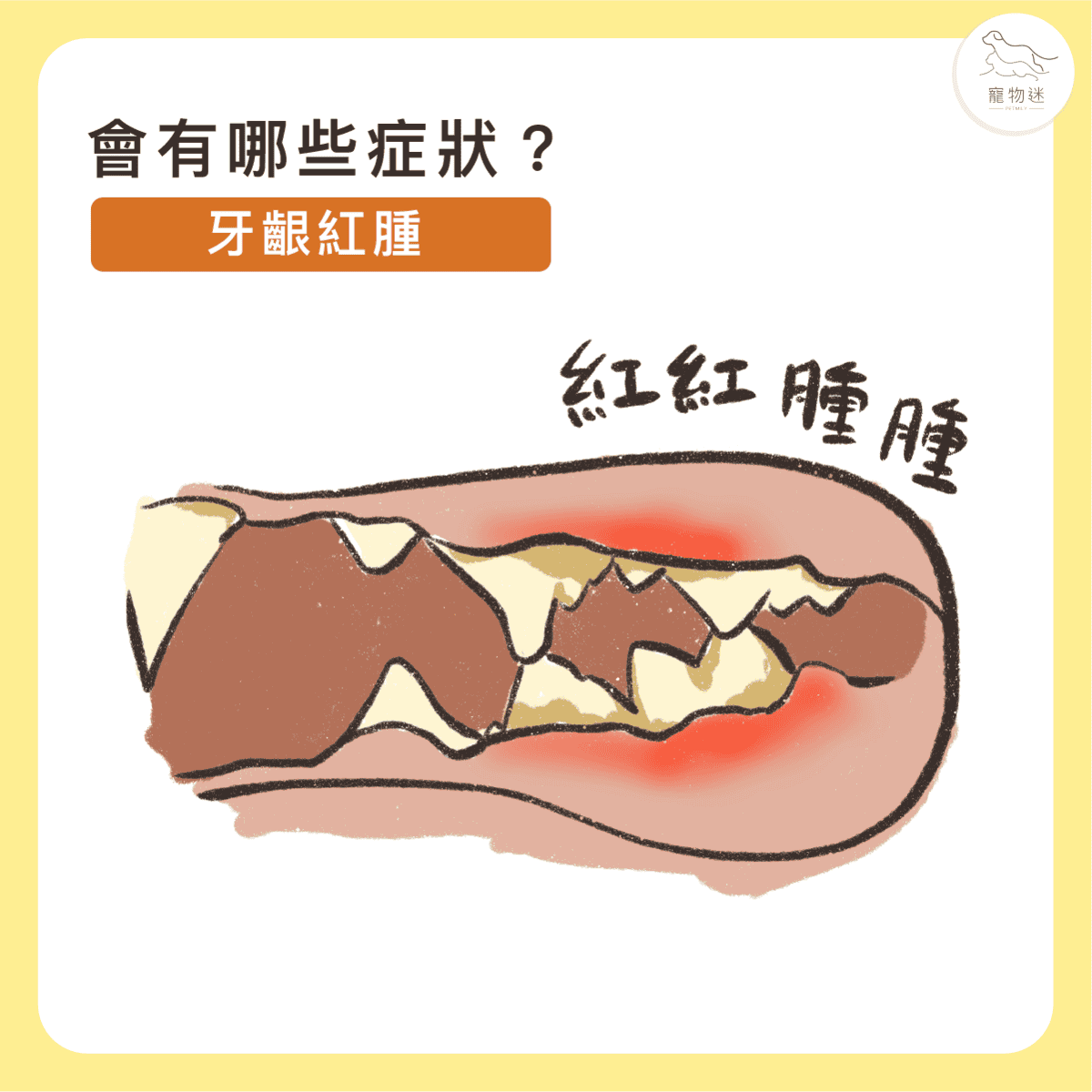 貓咪牙齦炎6大症狀＋5招日常預防，遠離口臭與不適！