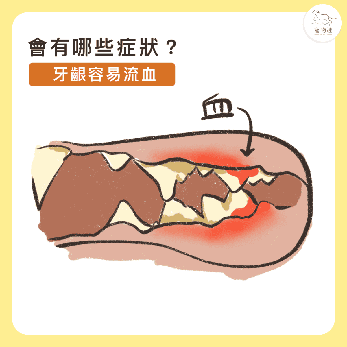 貓咪牙齦炎6大症狀＋5招日常預防，遠離口臭與不適！
