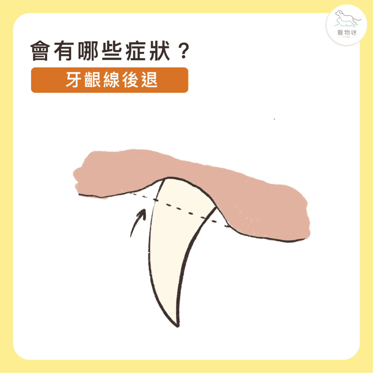 貓咪牙齦炎6大症狀＋5招日常預防，遠離口臭與不適！