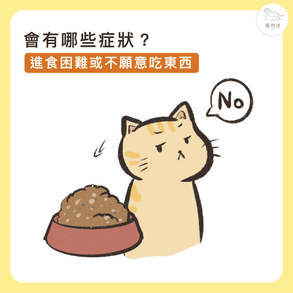 貓咪牙齦炎6大症狀＋5招日常預防，遠離口臭與不適！