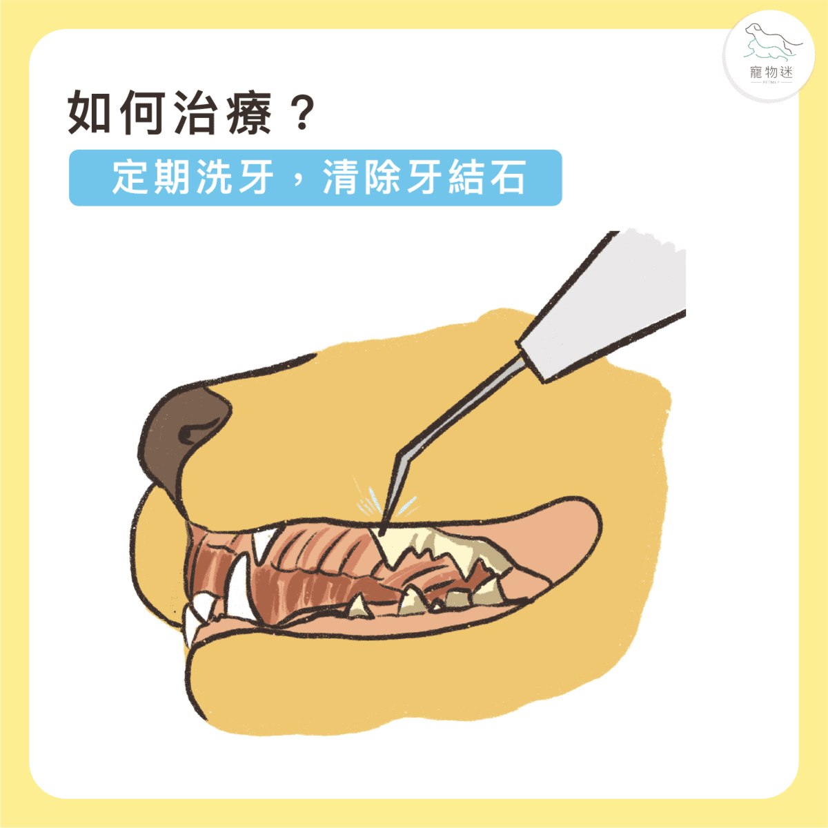 貓咪牙齦炎6大症狀＋5招日常預防，遠離口臭與不適！