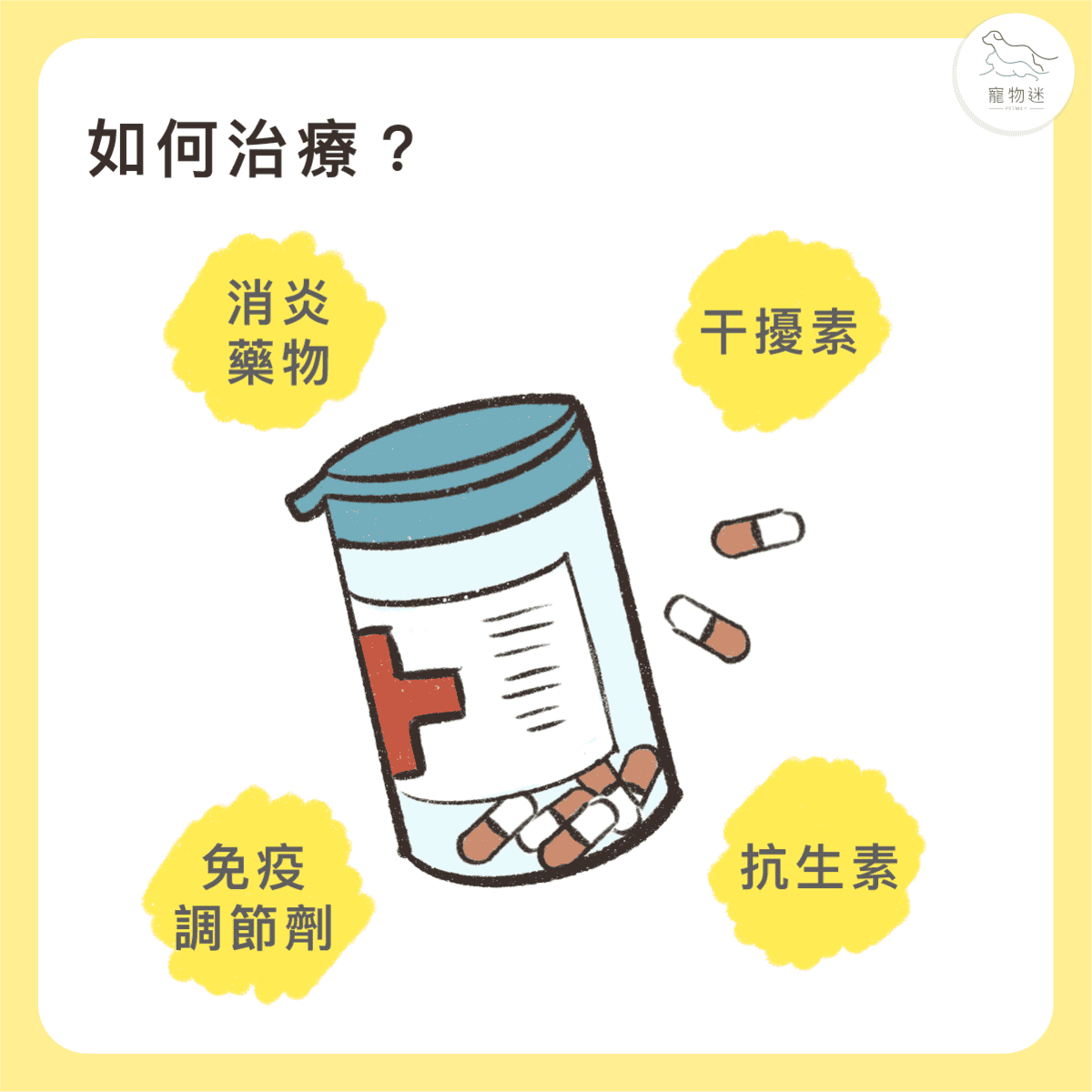 貓咪牙齦炎6大症狀＋5招日常預防，遠離口臭與不適！