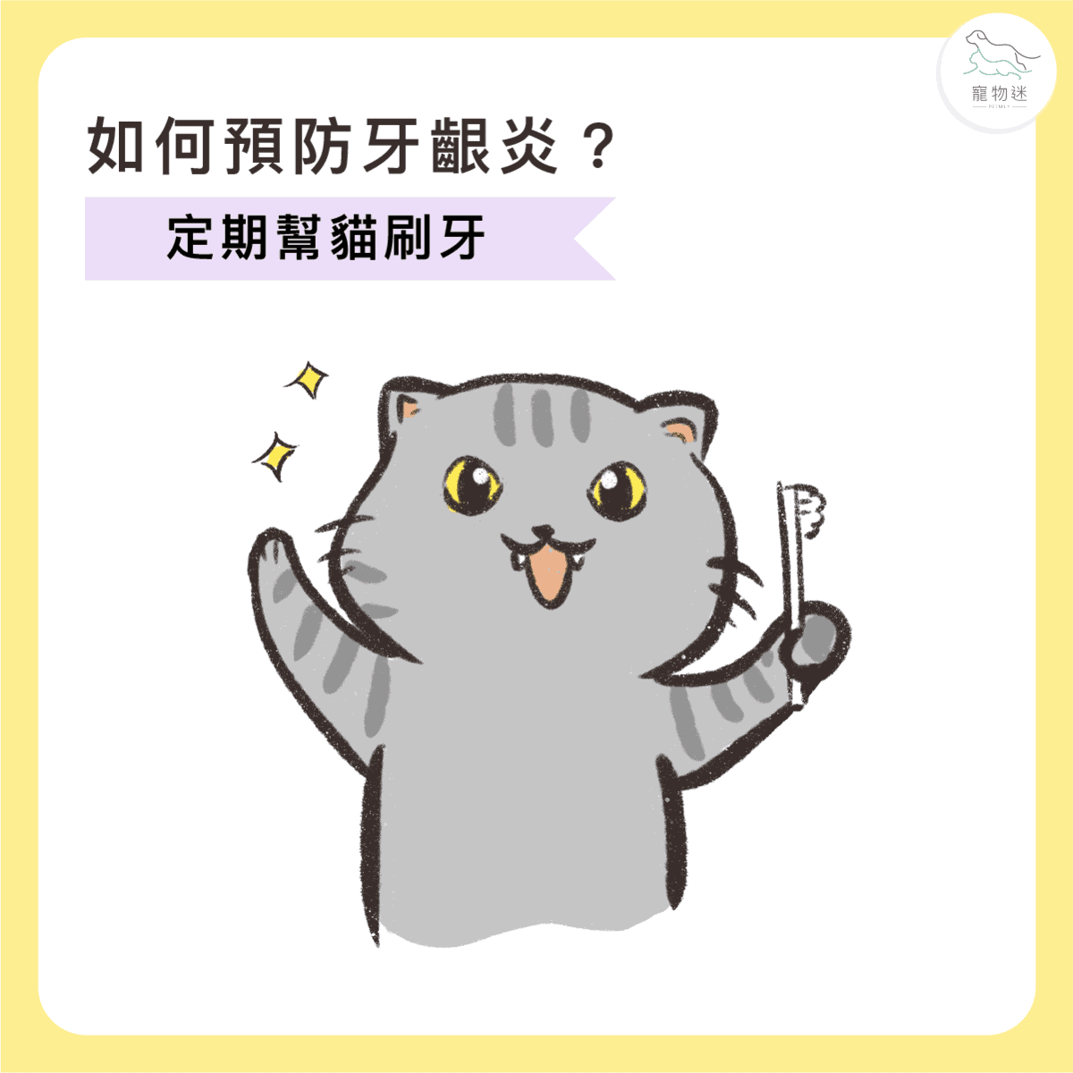 貓咪牙齦炎6大症狀＋5招日常預防，遠離口臭與不適！