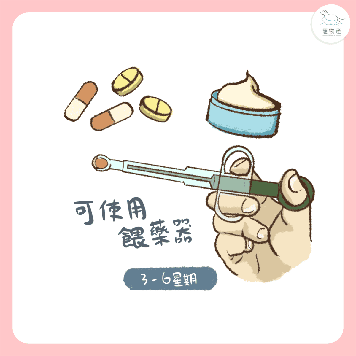 貓咪黴菌感染怎麼辦?3大照護重點+5招預防方法一次看懂! 7 貓咪黴菌感染怎麼辦?3大照護重點+5招預防方法一次看懂!