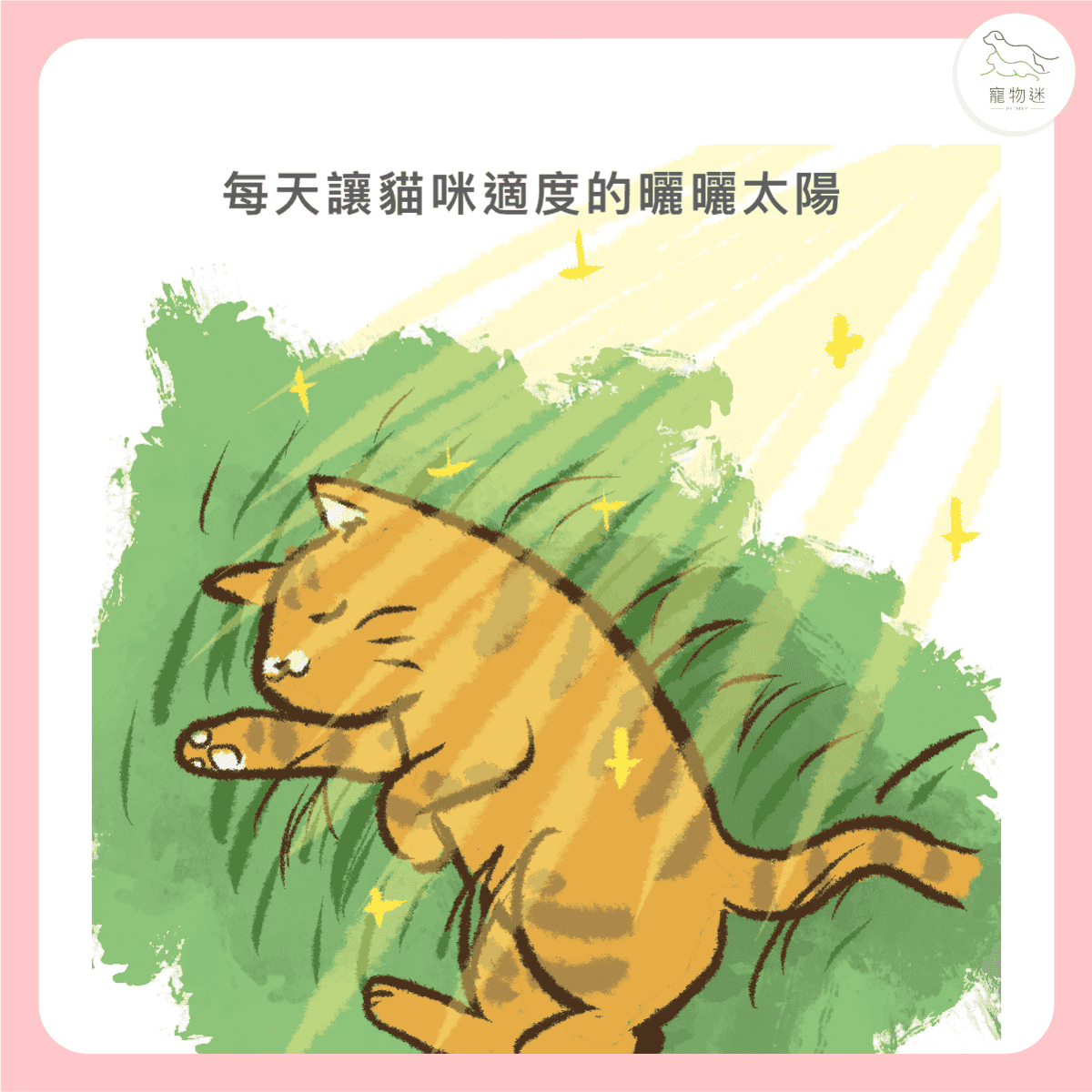 貓咪黴菌感染怎麼辦?3大照護重點+5招預防方法一次看懂! 10 貓咪黴菌感染怎麼辦?3大照護重點+5招預防方法一次看懂!