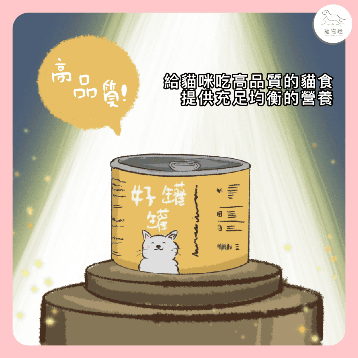貓咪黴菌感染怎麼辦?3大照護重點+5招預防方法一次看懂! 11 貓咪黴菌感染怎麼辦?3大照護重點+5招預防方法一次看懂!