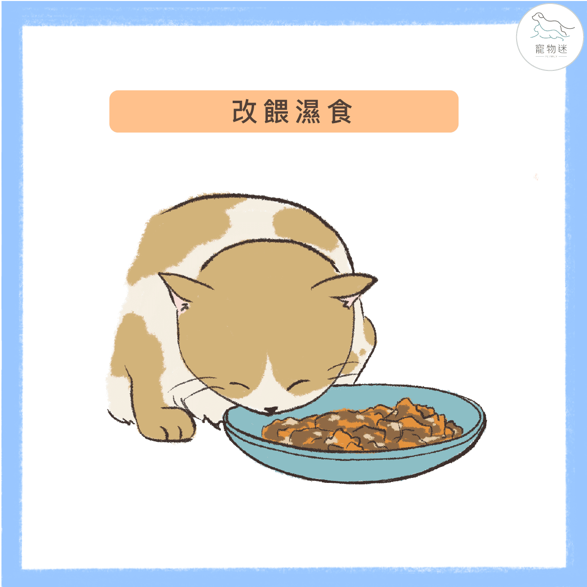 貓咪不愛喝水？6招提升貓飲水量！