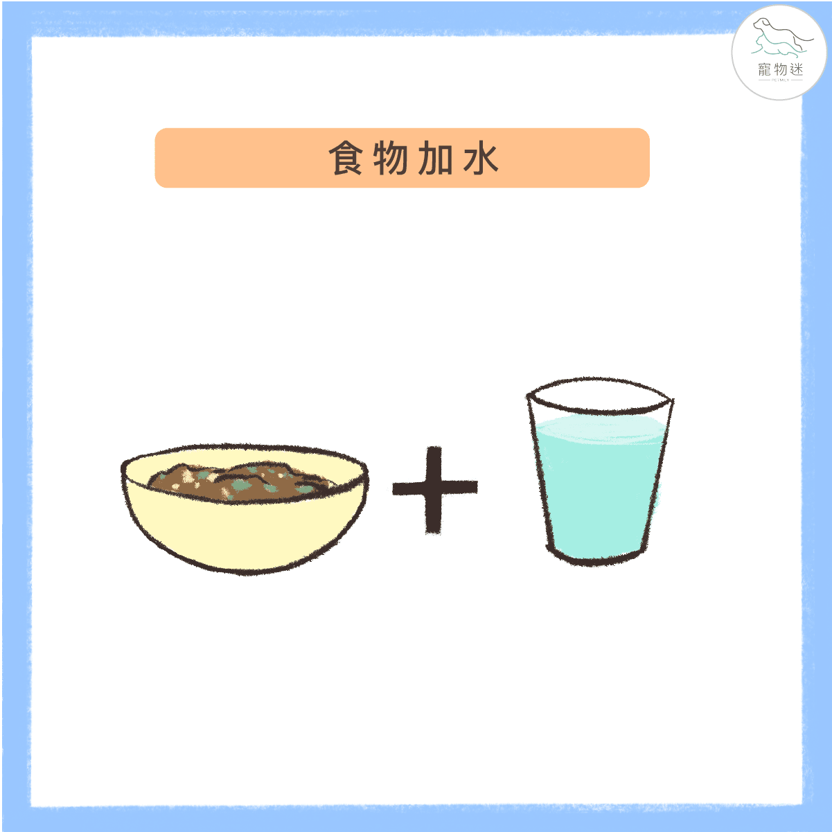 貓咪不愛喝水？6招提升貓飲水量！