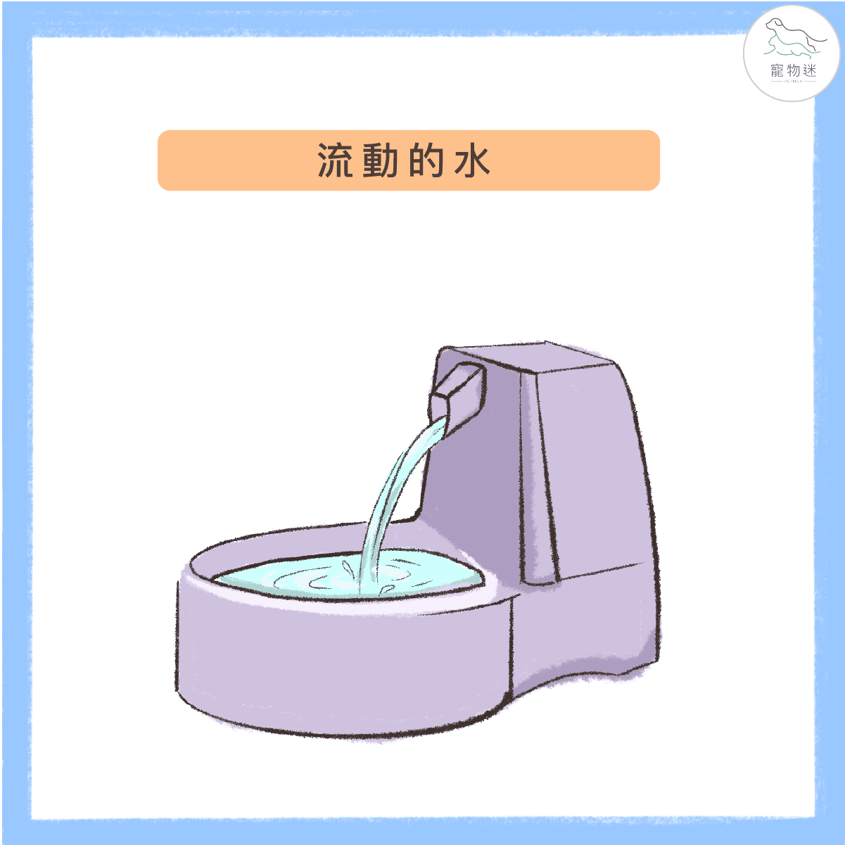 貓咪不愛喝水？6招提升貓飲水量！