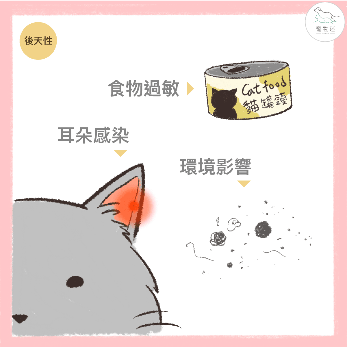 貓咪總是淚眼汪汪？6招做好貓淚痕保健！