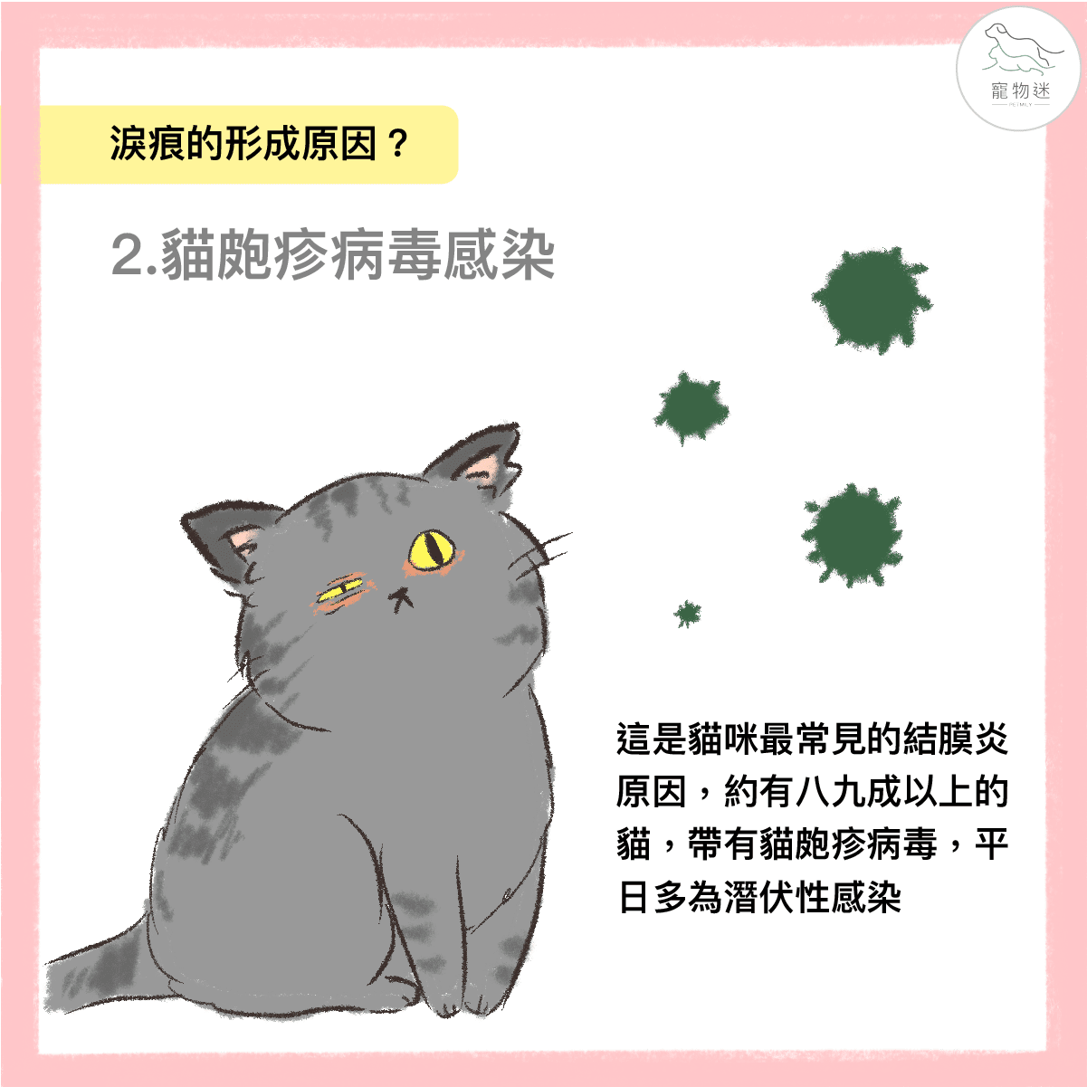 貓咪總是淚眼汪汪？6招做好貓淚痕保健！
