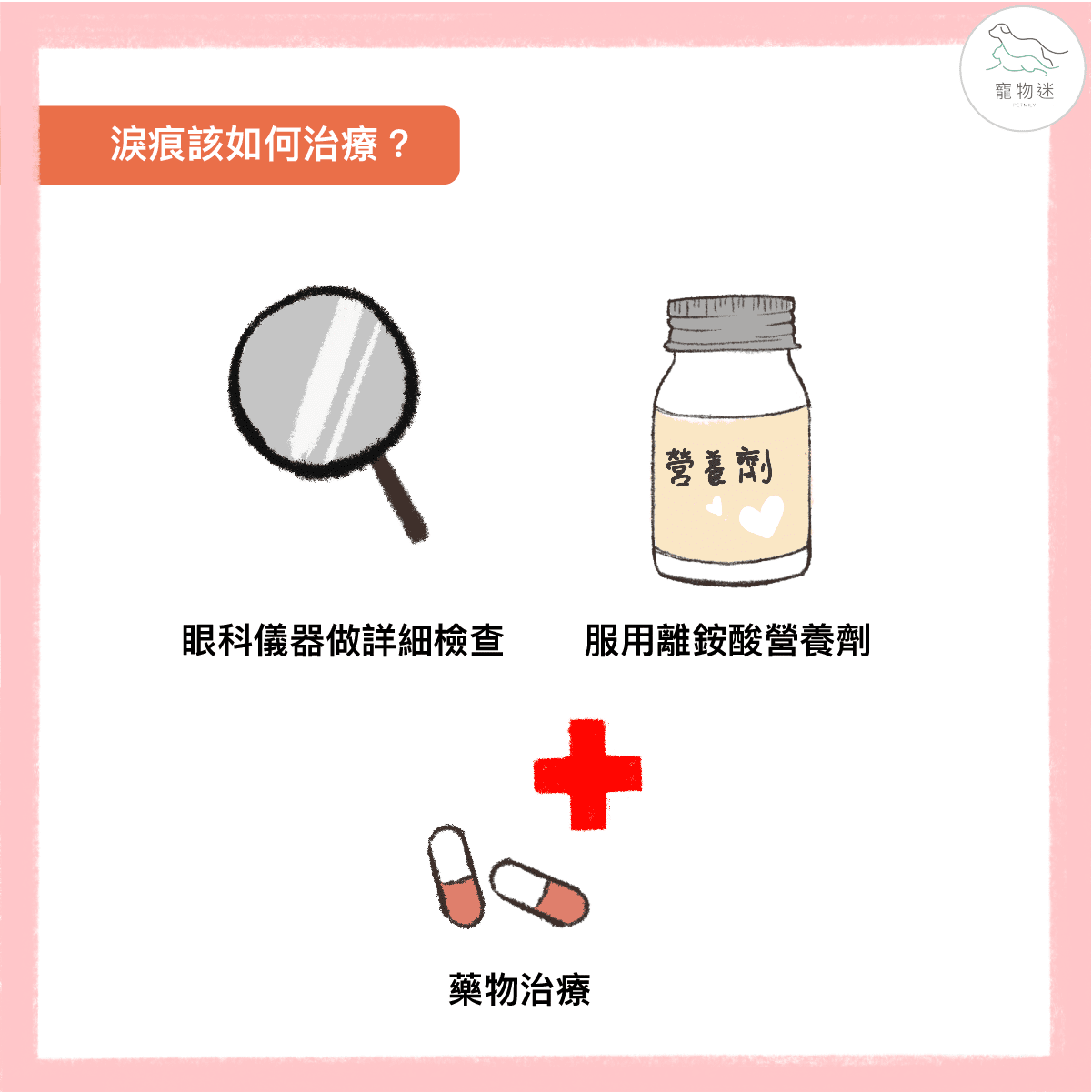 貓咪總是淚眼汪汪？6招做好貓淚痕保健！