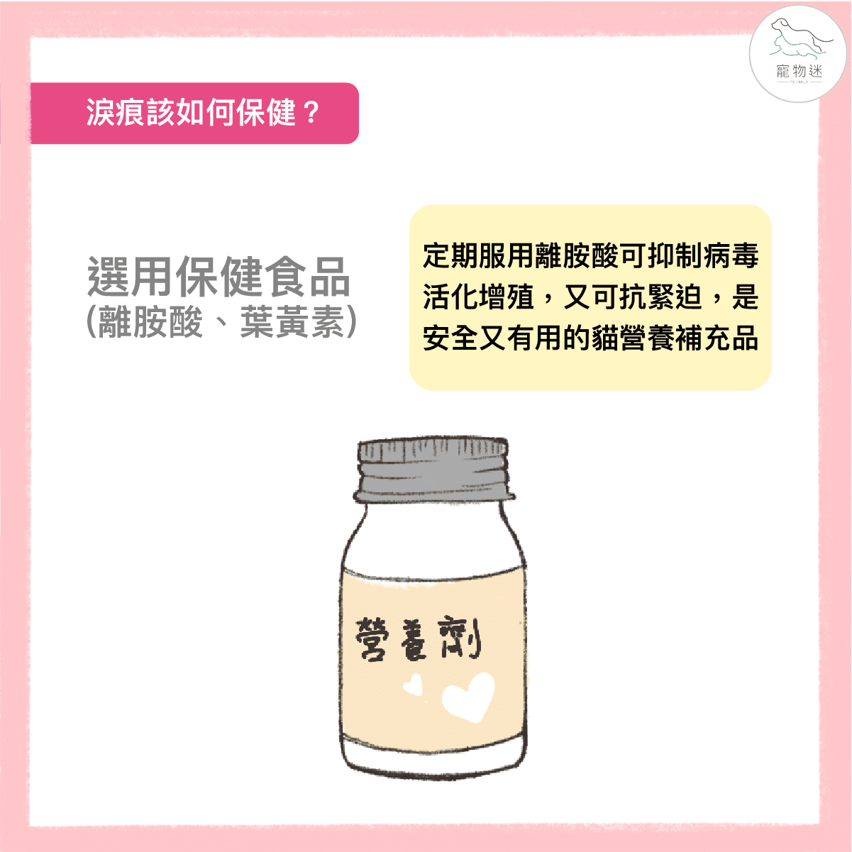 貓咪總是淚眼汪汪？6招做好貓淚痕保健！