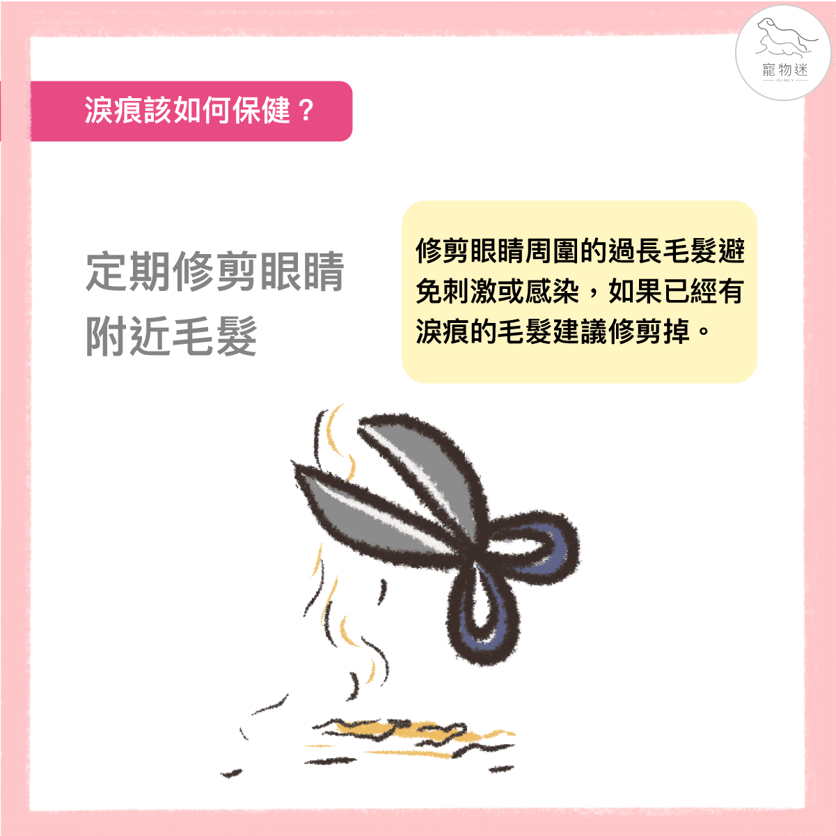貓咪總是淚眼汪汪？6招做好貓淚痕保健！