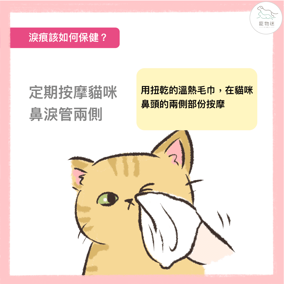 貓咪總是淚眼汪汪？6招做好貓淚痕保健！
