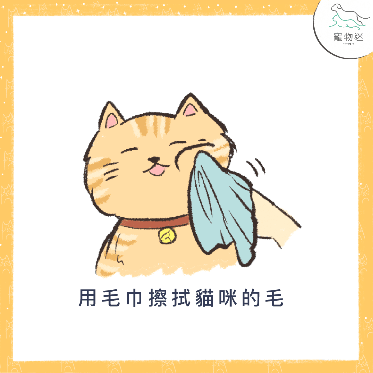 怕貓貓中暑 ，快用這5招讓牠保持涼快！