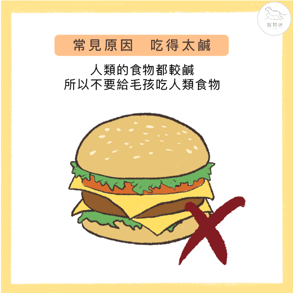 造成毛寶貝異常掉毛的7大兇手！