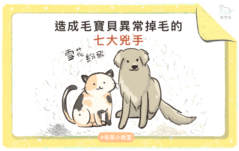 造成毛寶貝異常掉毛的7大兇手！