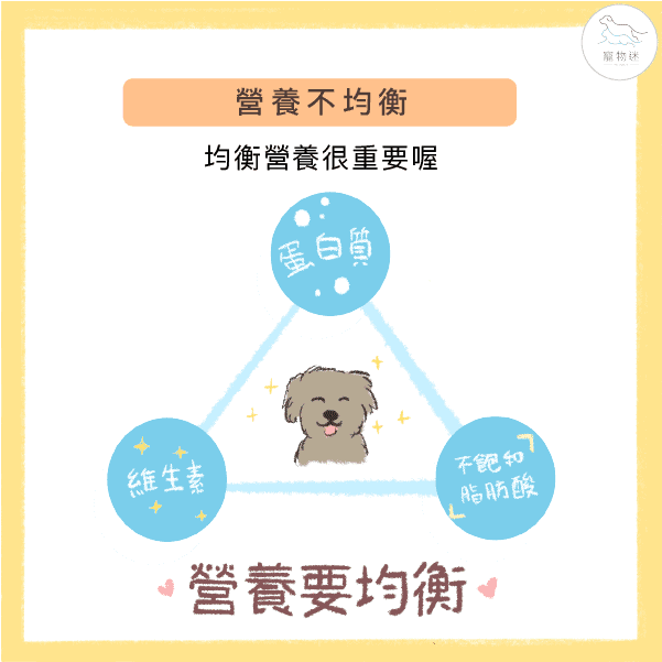 造成毛寶貝異常掉毛的7大兇手！