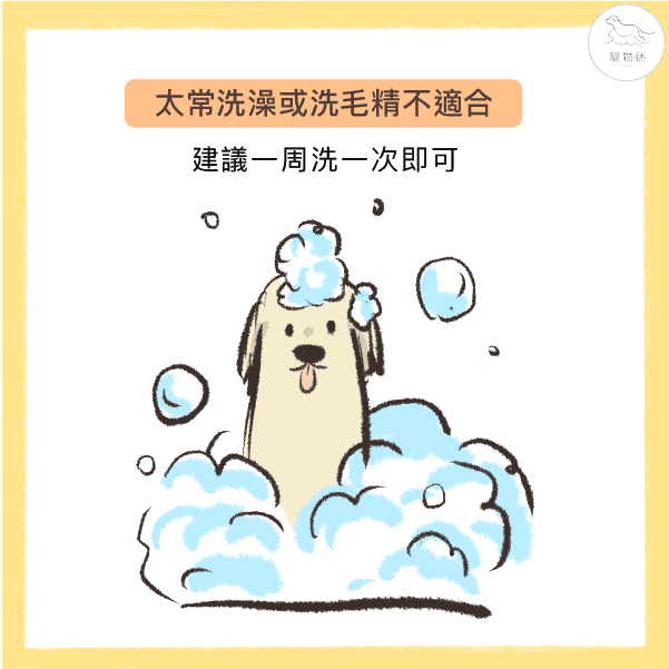 造成毛寶貝異常掉毛的7大兇手！