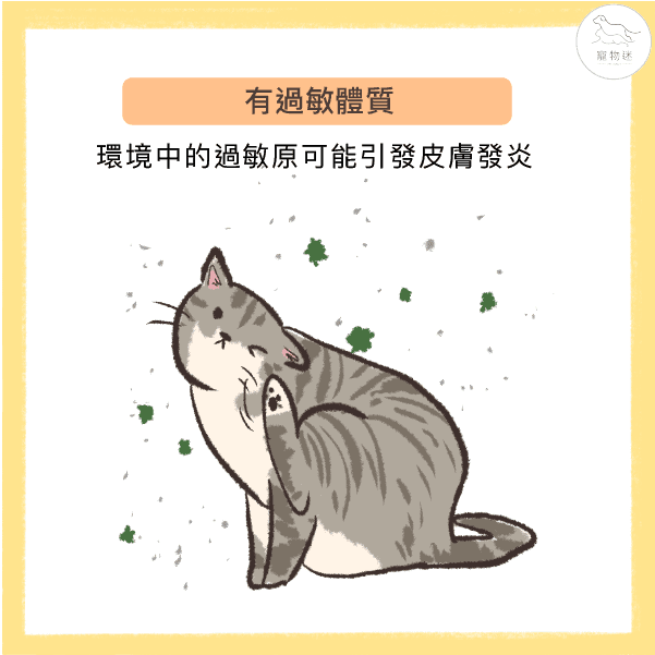 造成毛寶貝異常掉毛的7大兇手！