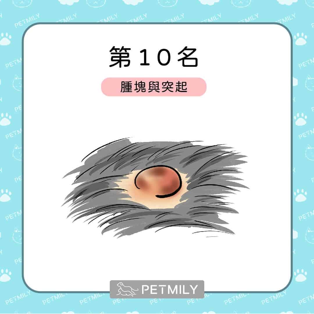貓狗癌症的十大症狀